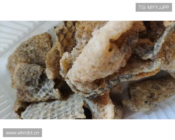 伊布家的狗都吃有机牛排，我还在纠结外卖满减